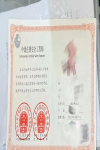 60后考生注安證書到手，我們還有什么理由不努力？