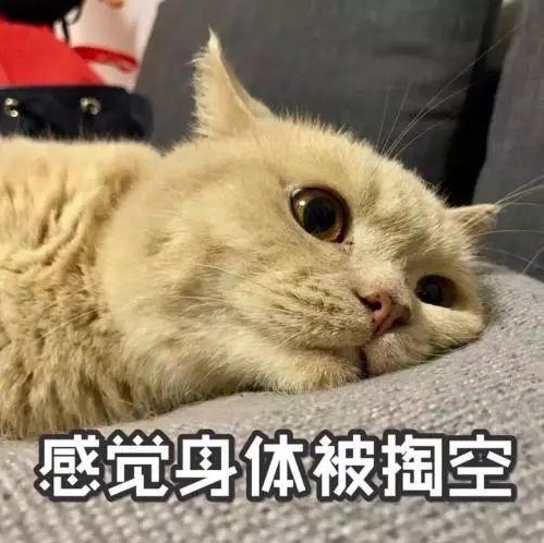 微信截圖_20231030164301